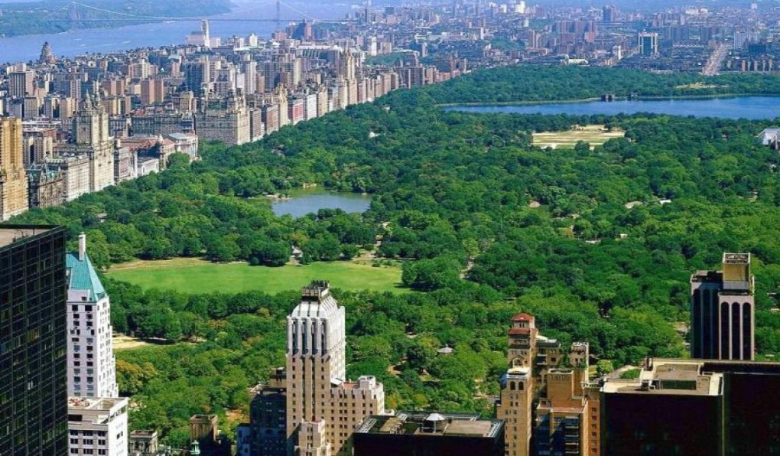 New York: skyscrapers threaten central park environmentalists alert