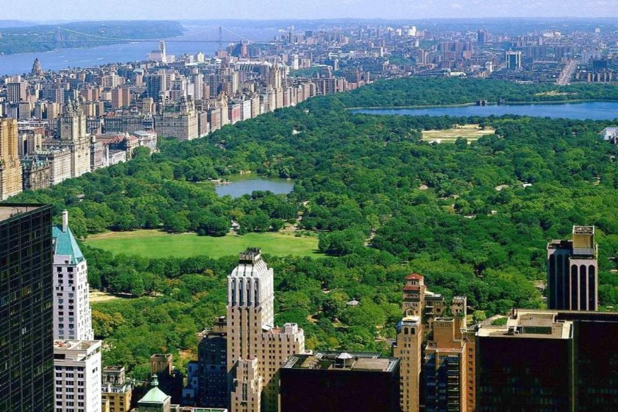 New York: skyscrapers threaten central park environmentalists alert