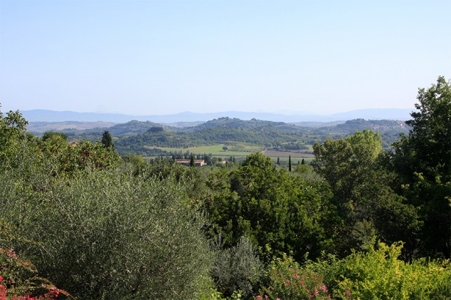 panorama1