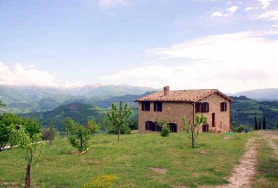 BOOMING ACTIVITY OF GREAT ESTATE IN MARCHE REGION