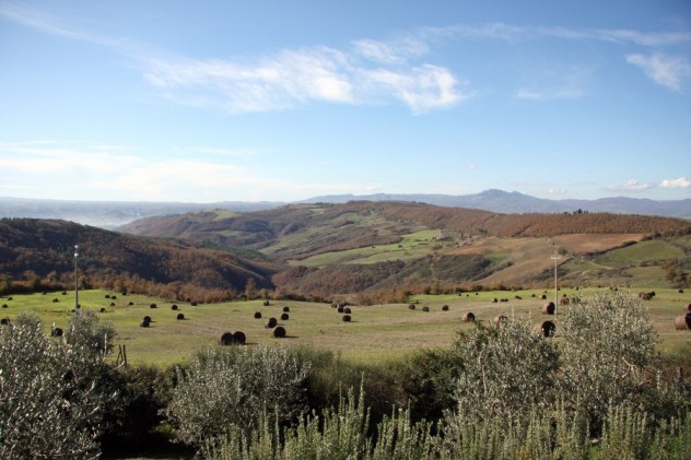 torre-trevina-leopoldina-country-house-viterbo-acquapendente-lazio-cpge1029