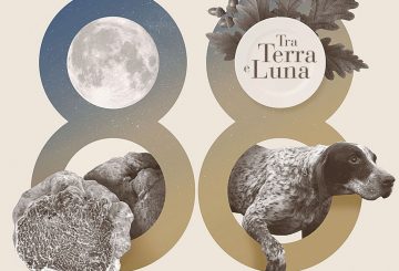 88th International Alba White Truffle Fair: a little bit of history