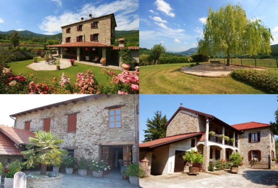 Monti Real Estate in Piedmont: Excellent Results of 2016