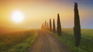 Typical cypresses alley in Tuscany