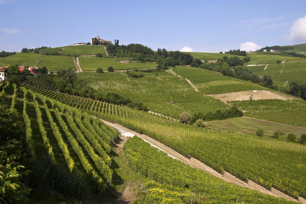 Il Piemonte: natura, paesaggio, storia ed enogastronomia