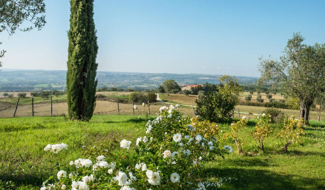 Una vera oasi di benessere e natura vicino ad Orvieto: “Podere Del Poggio”