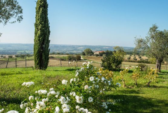 A real wellness and nature oasis near Orvieto: “Podere Del Poggio”