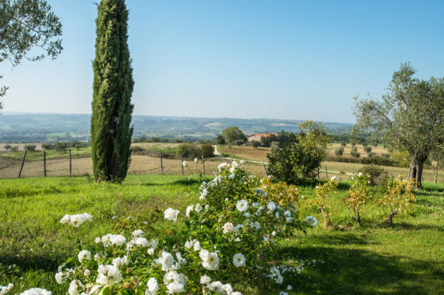 Magazine Great Estate