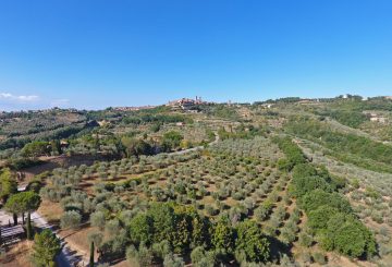 An oasis among the olive trees and overlooking Città Della Pieve: Il Borgo Delle Grazie Toscane