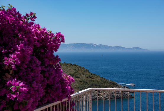 The show of the light blue Argentatio sea: Villa Vista Giglio