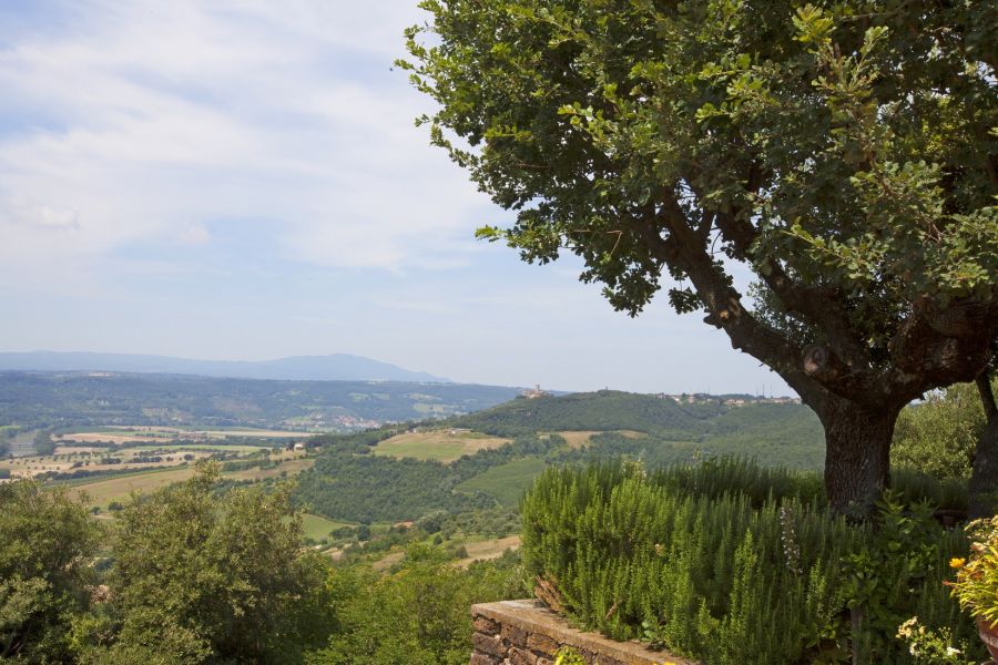 Great Estate and the sale of “Villa El Olivar”, Umbria