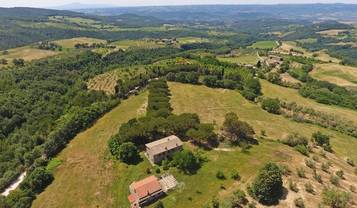 Valter Luciani and the sale in Orvieto: “passion and commitment bring to great satisfactions”