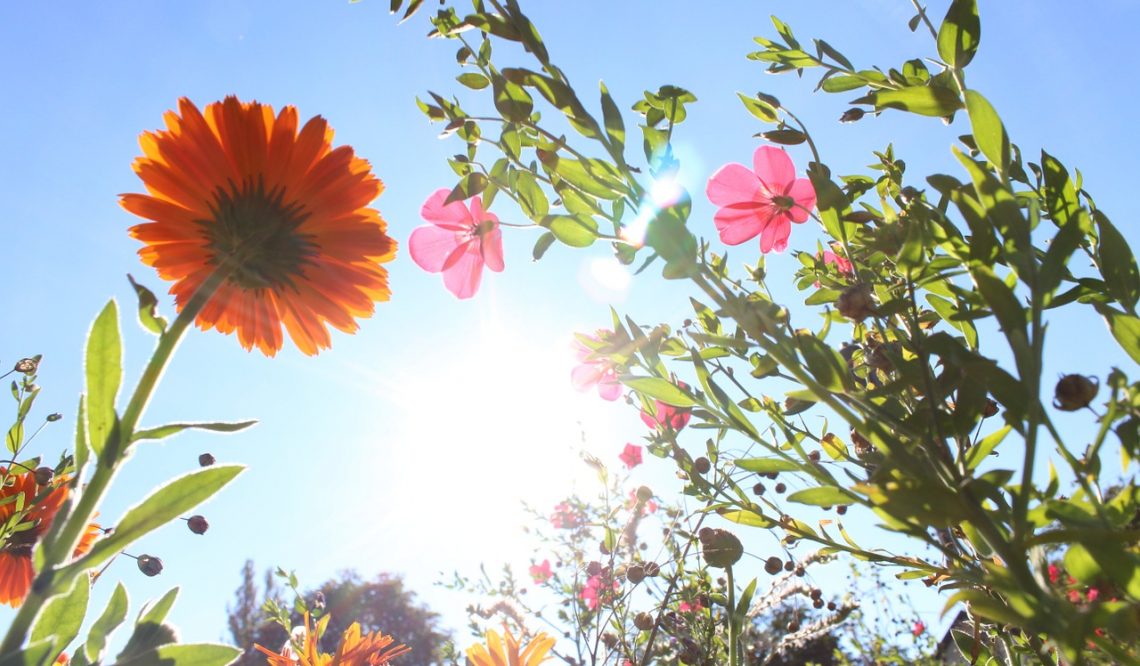 A glowing summer for the real estate agent Ilaria Peparaio thanks two very important sales in Umbria
