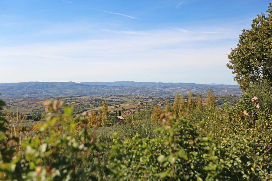 The beauty of the centre of Italy: purchasing your second home between Tuscany and Umbria