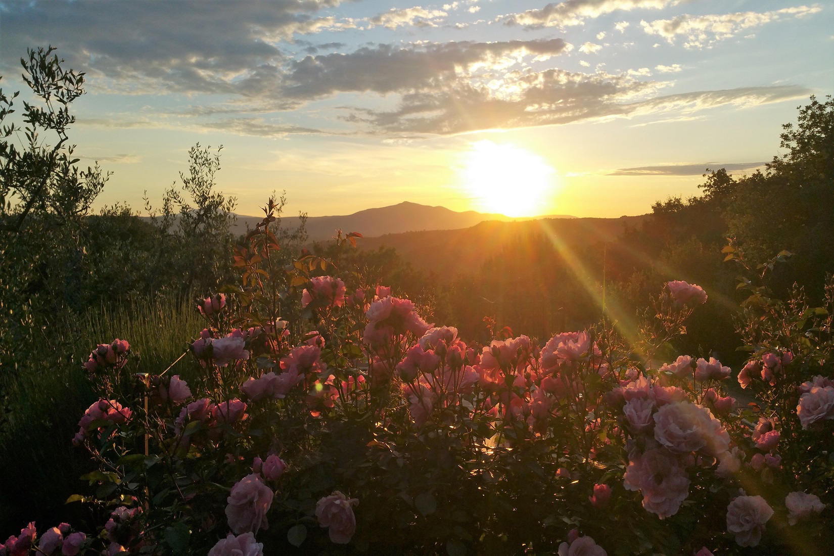 Between Umbria and Tuscany, the stunning Tramonto A Parrano farmhouse location