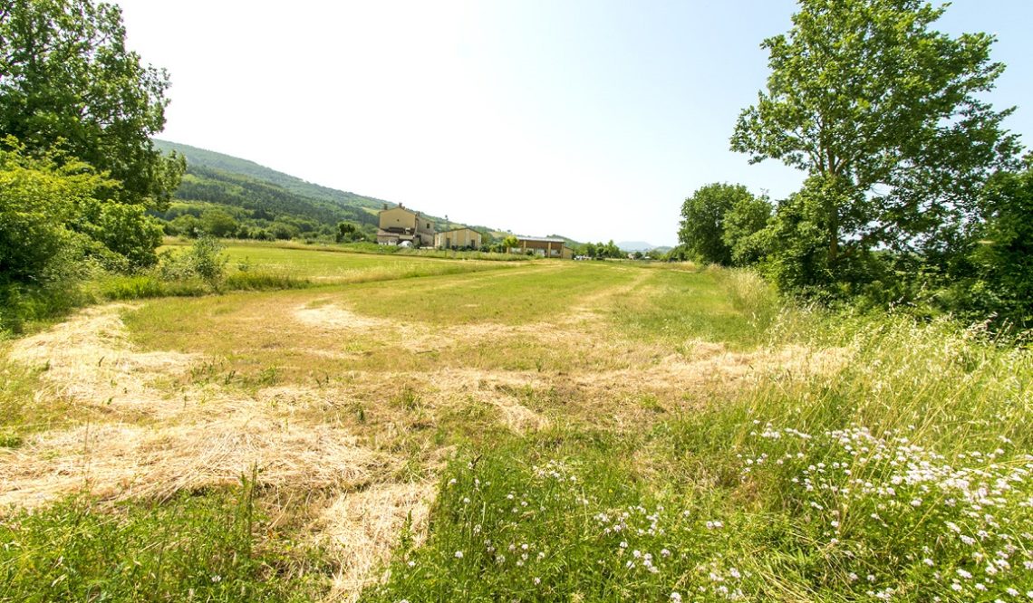 In the core of the Marche region, “Agriturismo Sito Archeologico”