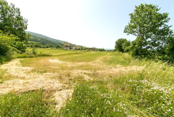 In the core of the Marche region, “Agriturismo Sito Archeologico”