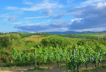 In April, Great Estate signs the sale of an important wine estate in Tuscany