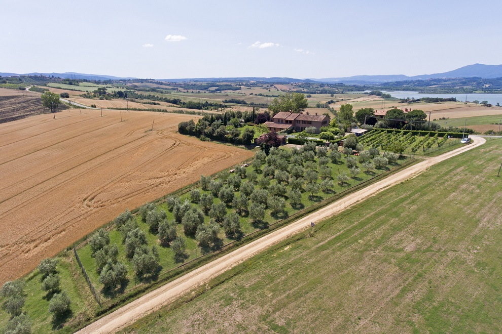 Questa immagine ha l'attributo alt vuoto; il nome del file è vendesi-rustico-casale-in-umbria-perugia-castiglione-del-lago-15942180139422.jpg