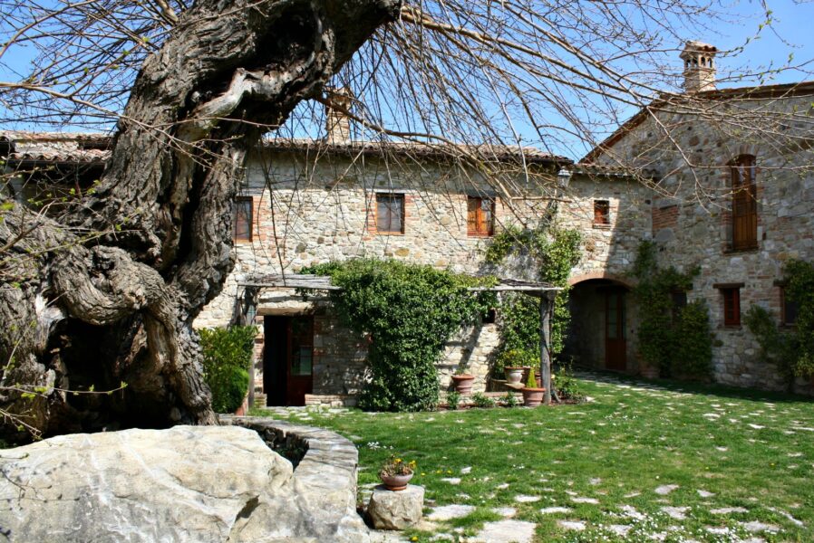 L'olivo - Appartamento in casale a Todi (PG)