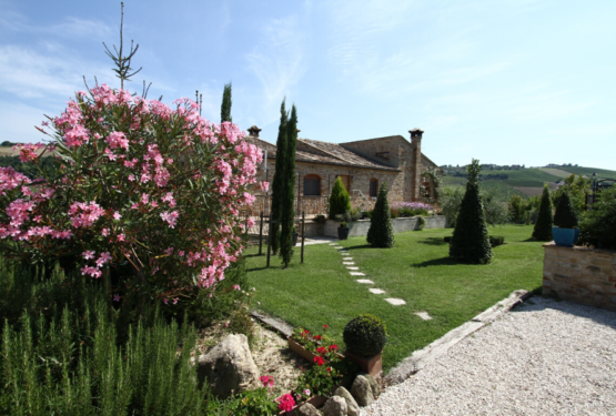 Casale Montefiore: tradition and comfort between the hills and the sea of Marche