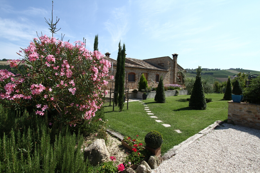 Casale Montefiore: tradition and comfort between the hills and the sea of Marche