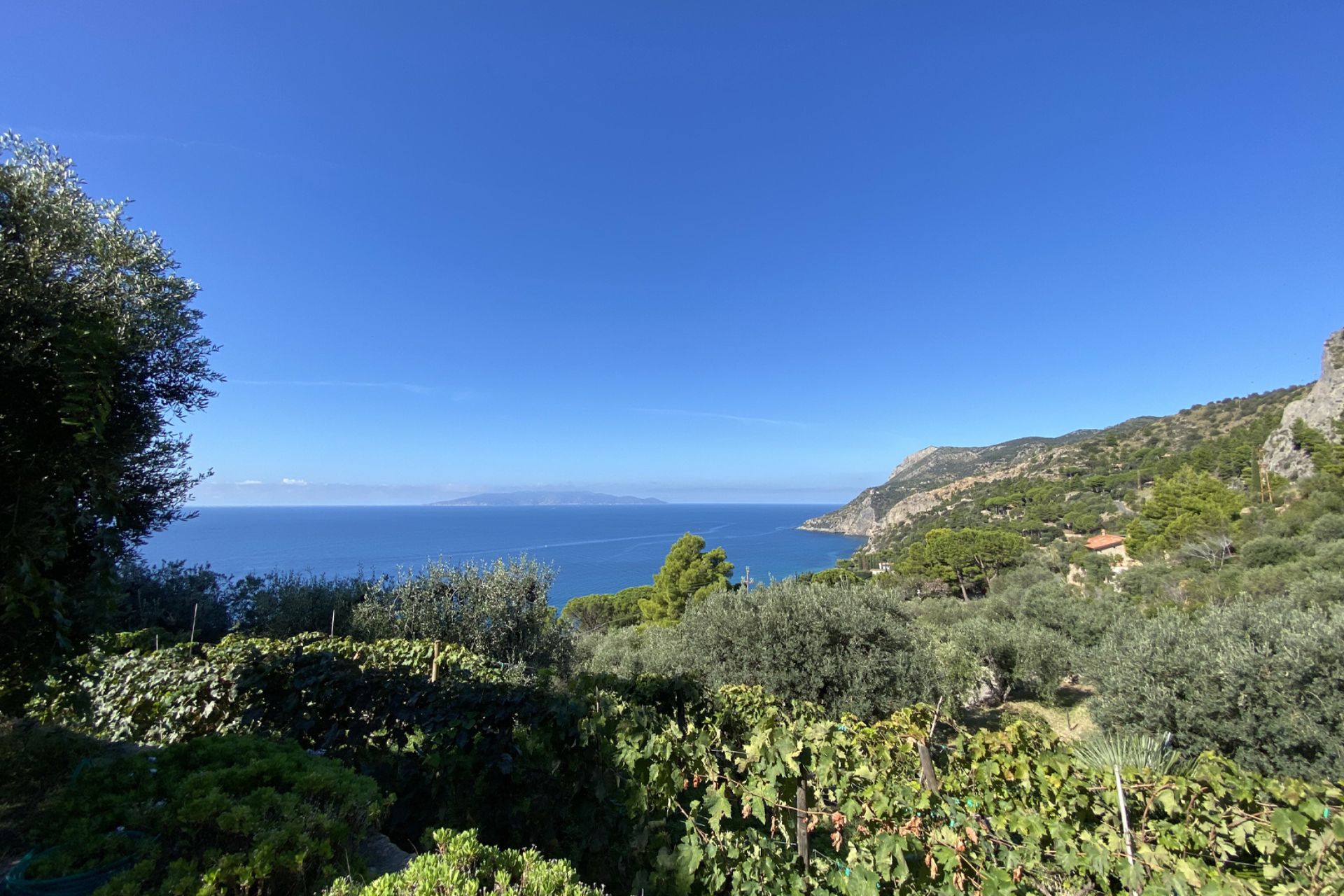 ENCHANTING SEA VIEWS BETWEEN TUSCANY AND LE MARCHE: GREAT ESTATE PROPOSALS