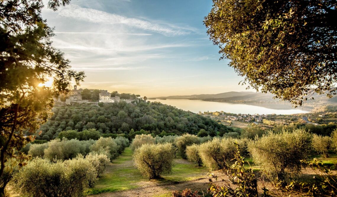Autumn with Great Stays: collect olives and taste fine wines from the Umbrian territory