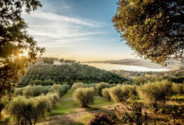 Autumn with Great Stays: collect olives and taste fine wines from the Umbrian territory