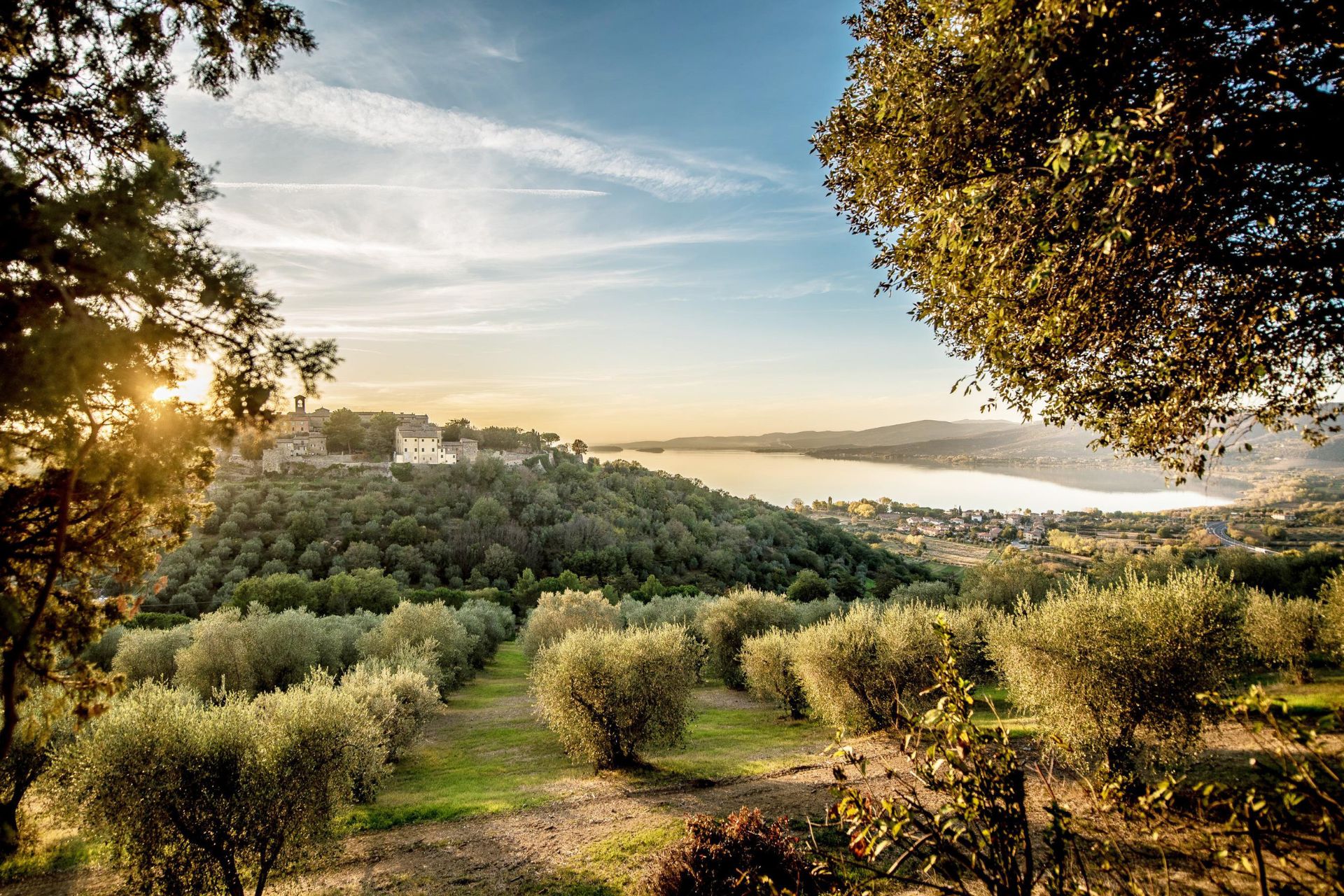 Autunno Great Stays: raccogli le olive e degusta vini pregiati del territorio umbro